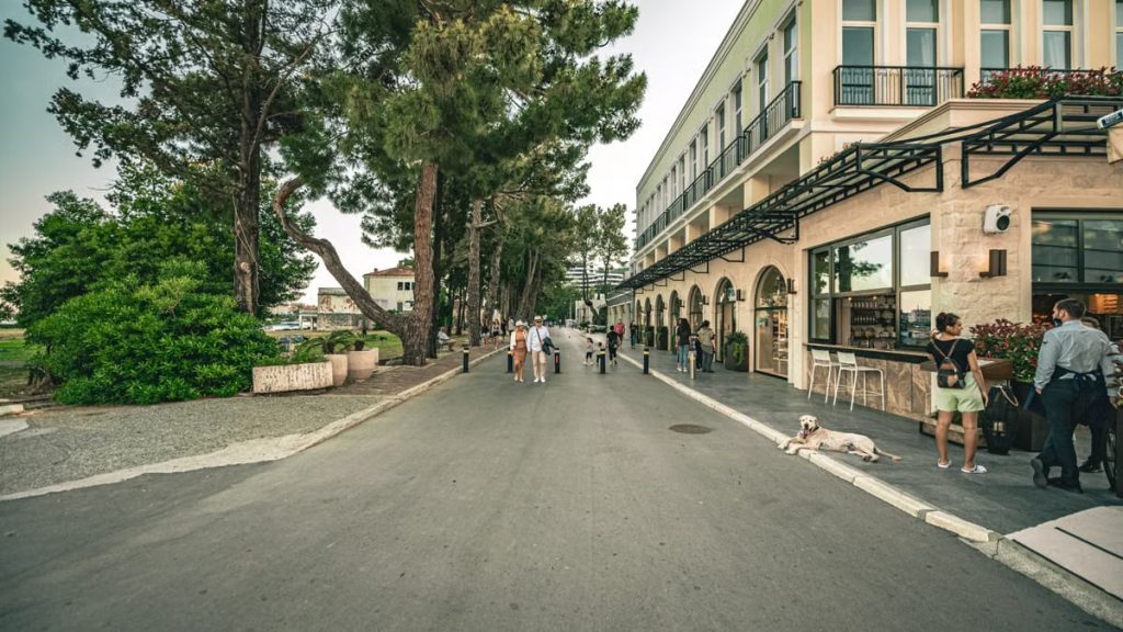 Lively day on a tree-lined street in Budva, Montenegro, with people and shops.